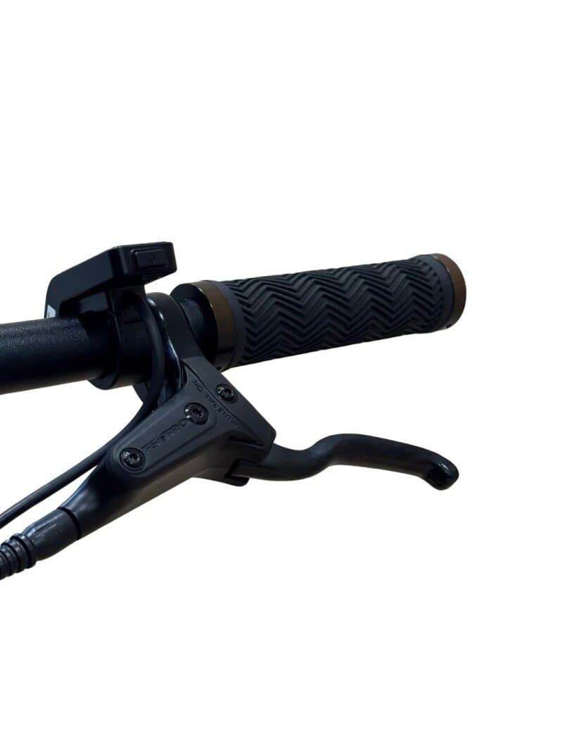 Tenways CGO600 Single-Speed 2023