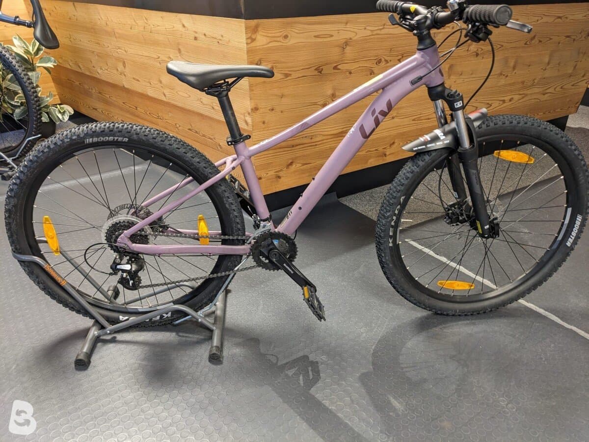 Liv Tempt 3 2022