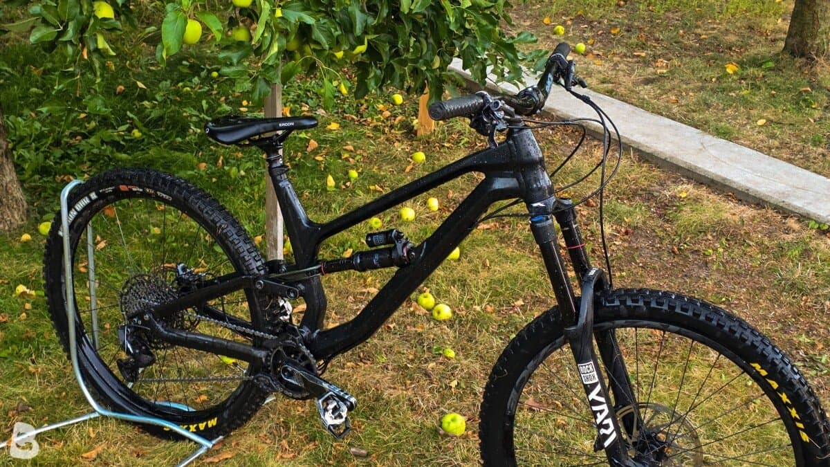 Canyon Torque AL 5.0 2020