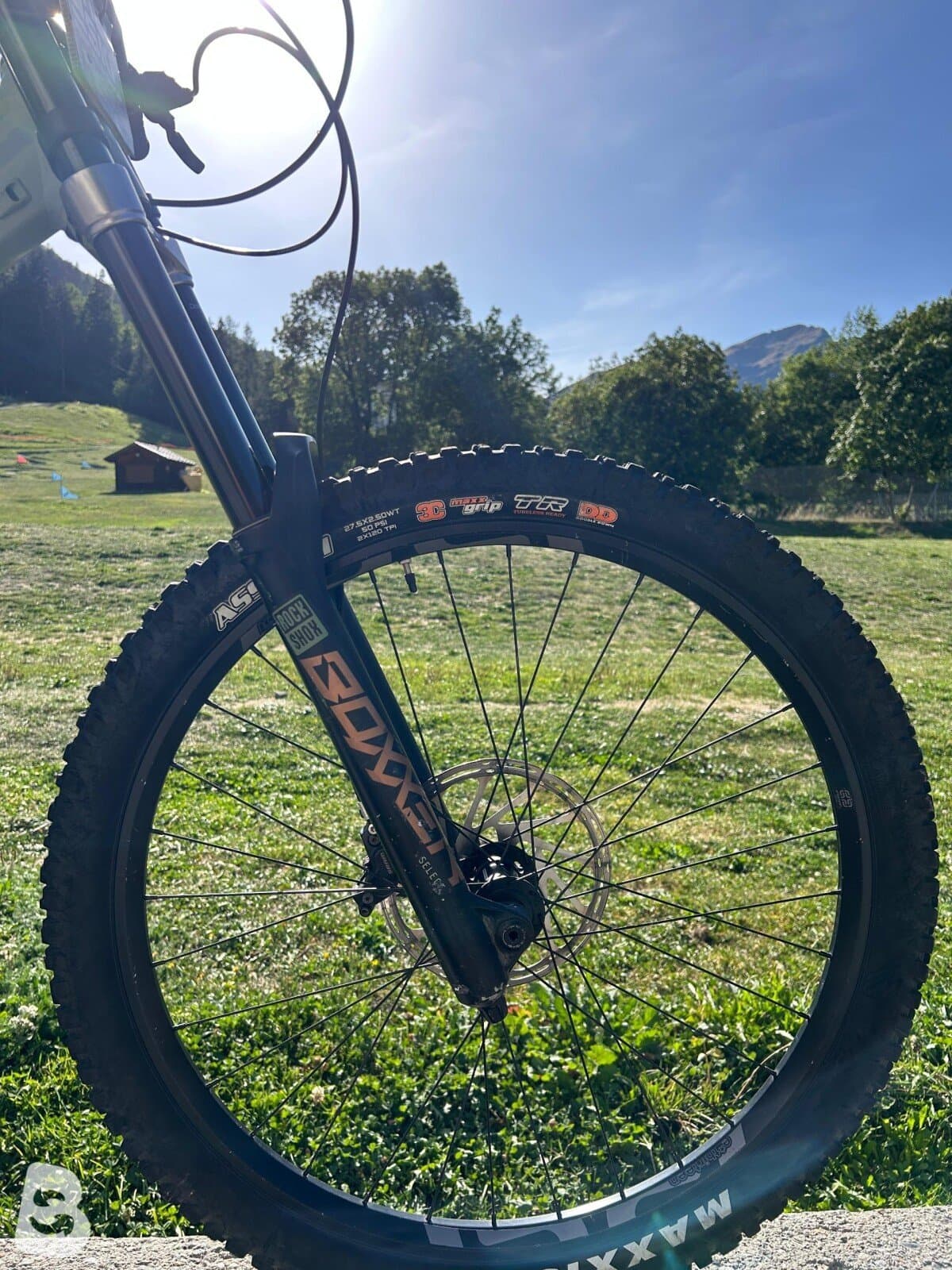 Norco Shore Park Boxxer 2023
