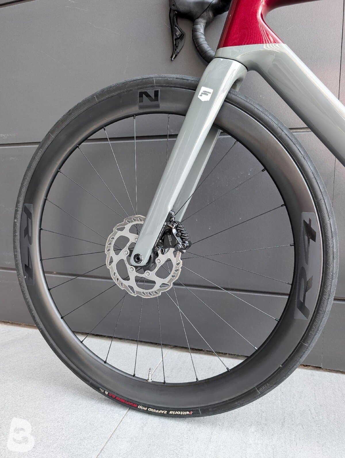 Focus IZALCO MAX 8.9 2024