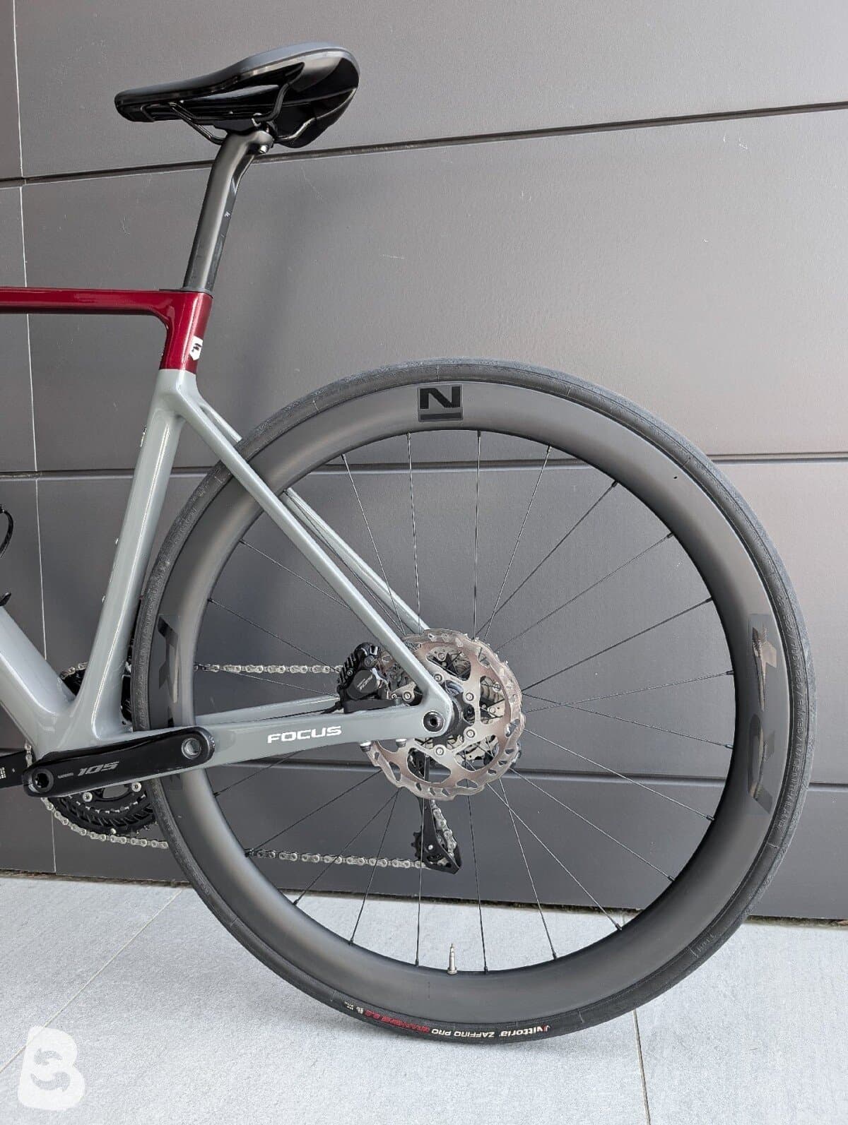 Focus IZALCO MAX 8.9 2024