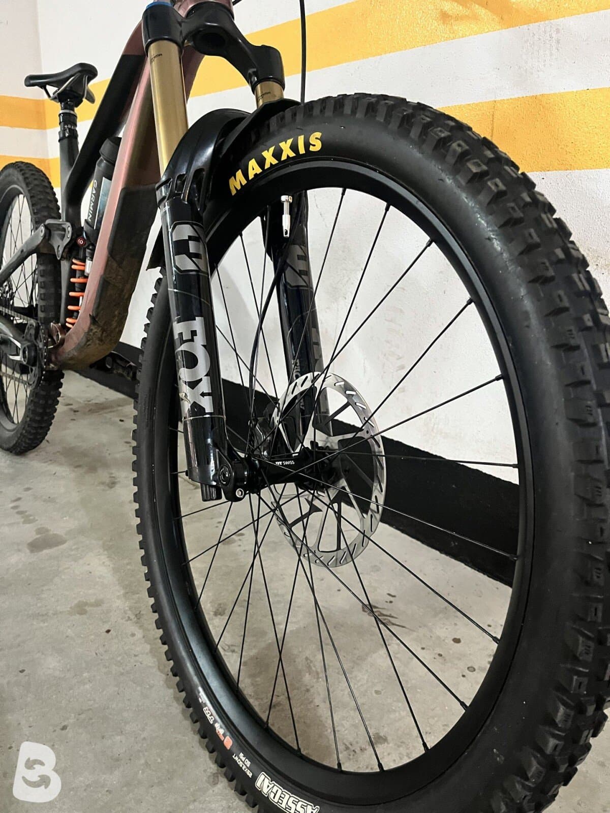 Giant Reign, Advanced Pro 0 2023
