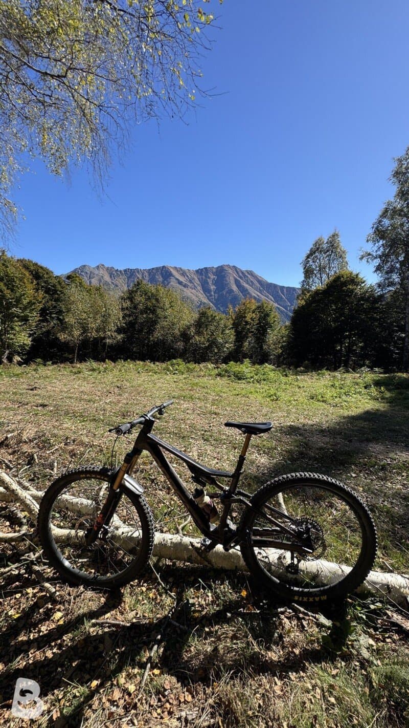Orbea OCCAM LT M-TEAM 2024