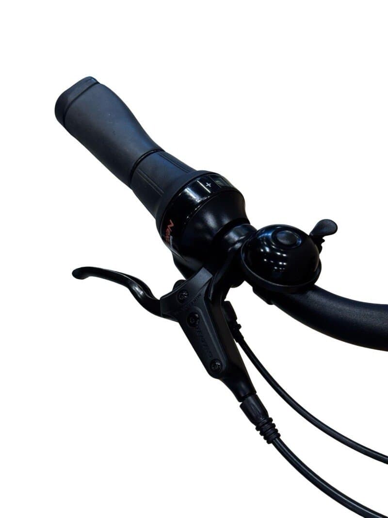 Diamant Beryll Gen 3 Shimano Nexus 2024