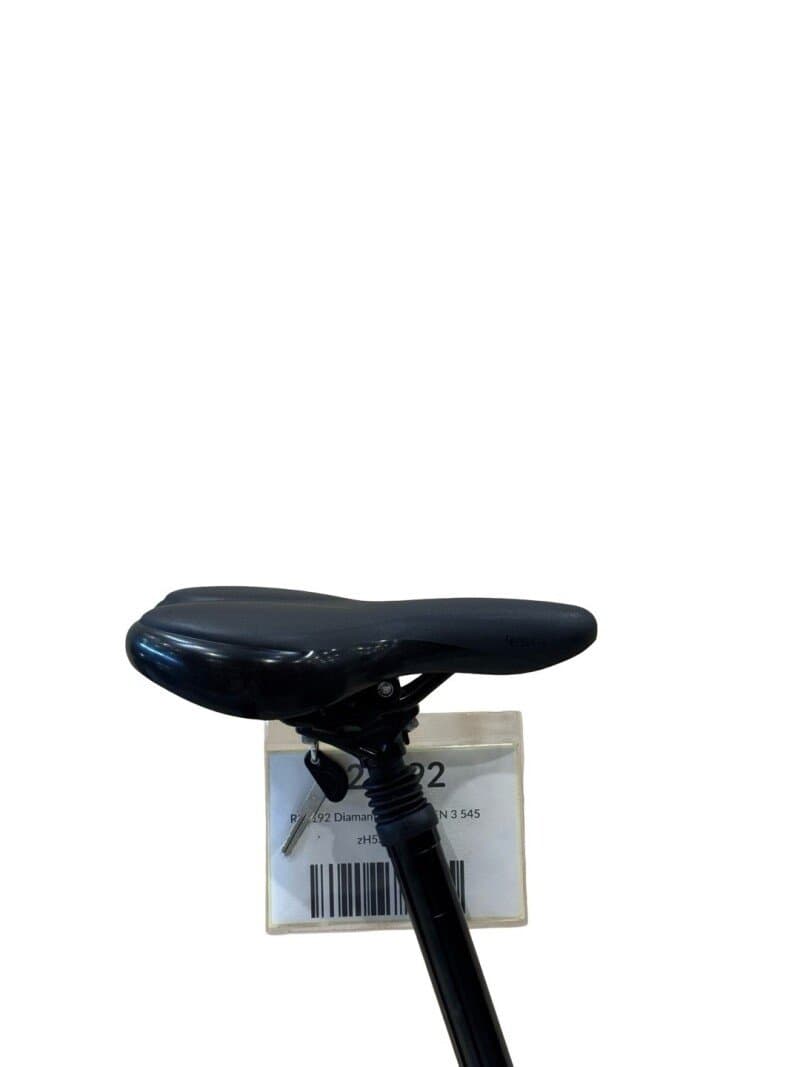 Diamant Beryll Gen 3 Shimano Nexus 2024