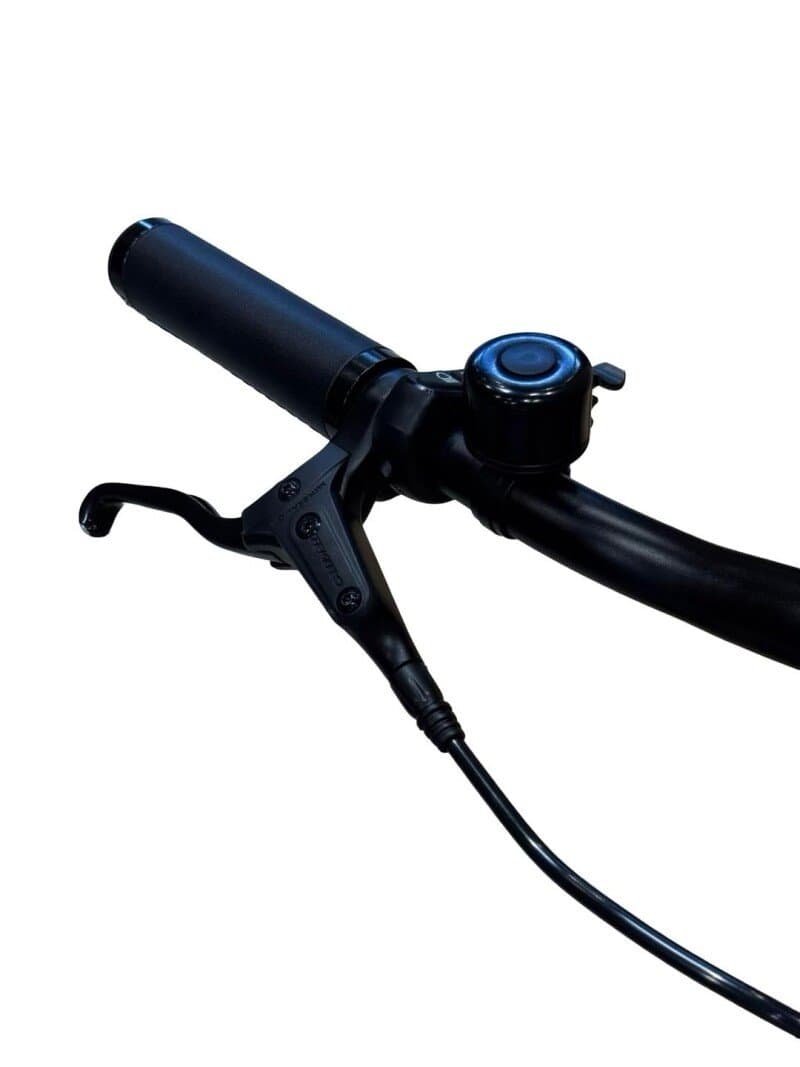 Tenways CGO800s Single Speed 2023