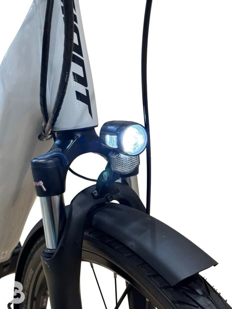 Giant DailyTour E+ 3 LDS Shimano Alivio 2022