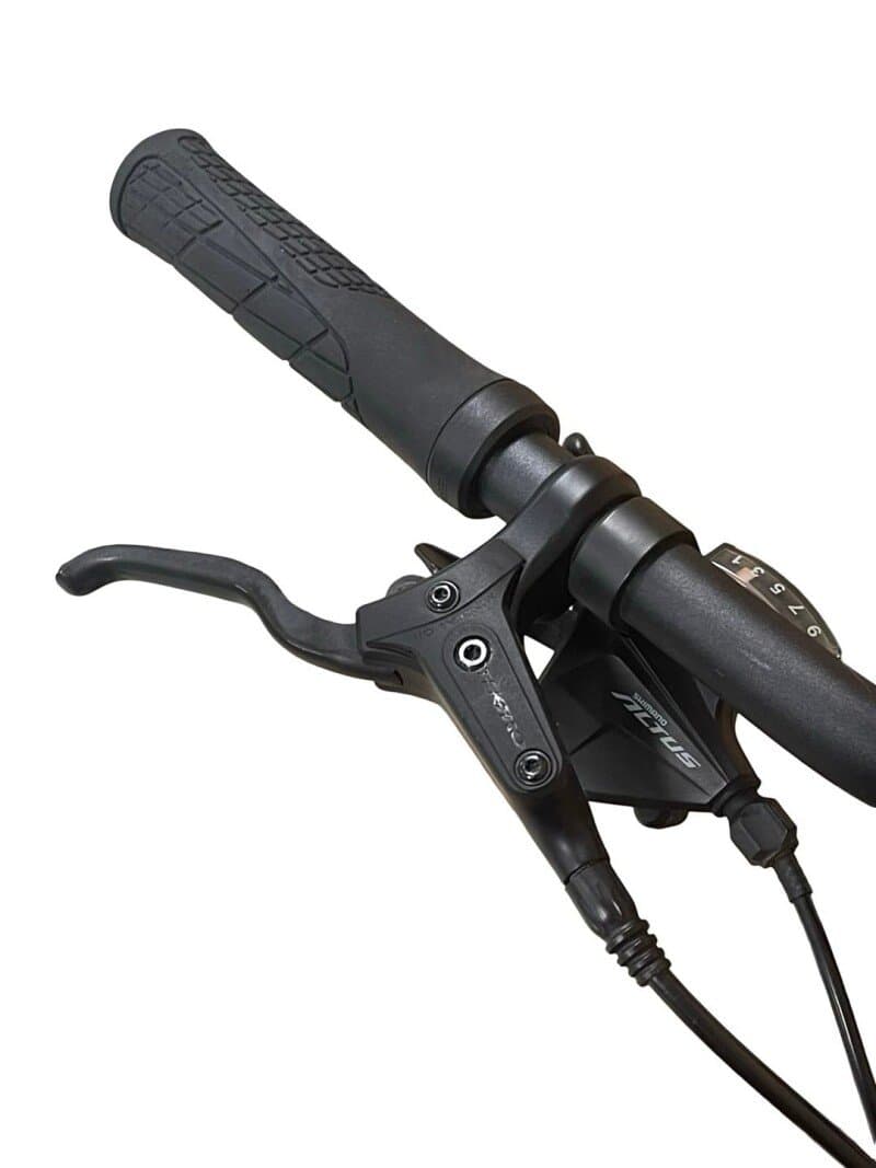 Giant DailyTour E+ 3 LDS Shimano Alivio 2022