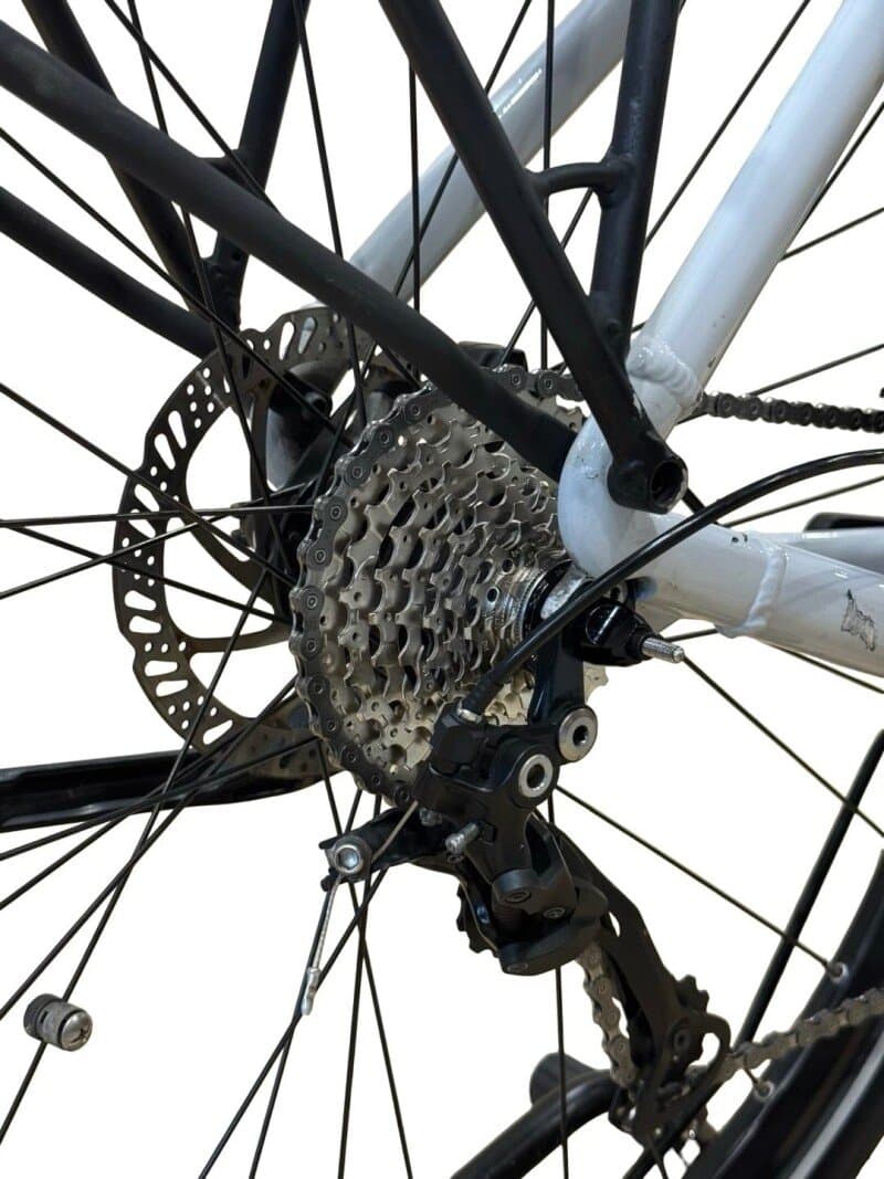 Giant DailyTour E+ 3 LDS Shimano Alivio 2022