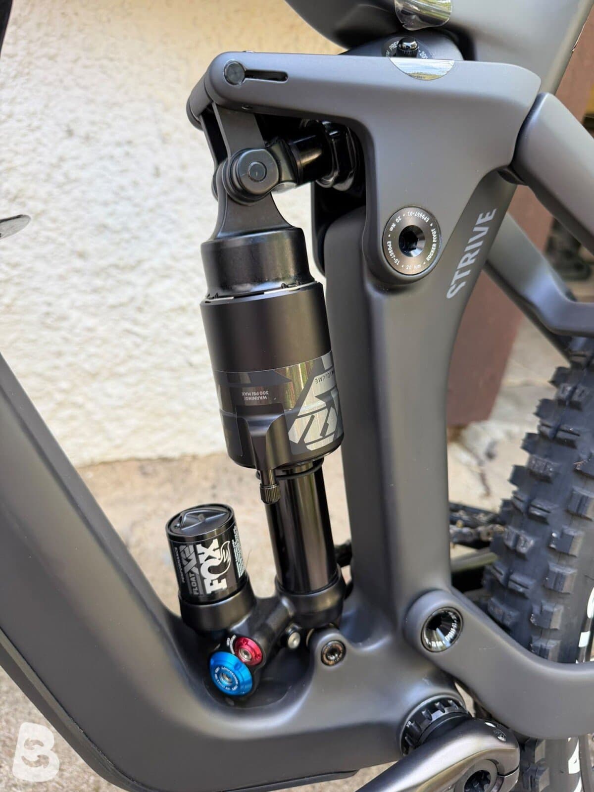 Canyon Strive CFR Underdog 2024