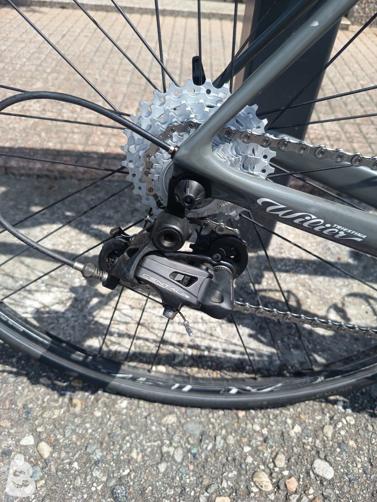 Wilier GTR Team CAMPAGNOLO CENTAUR 2X11 2022