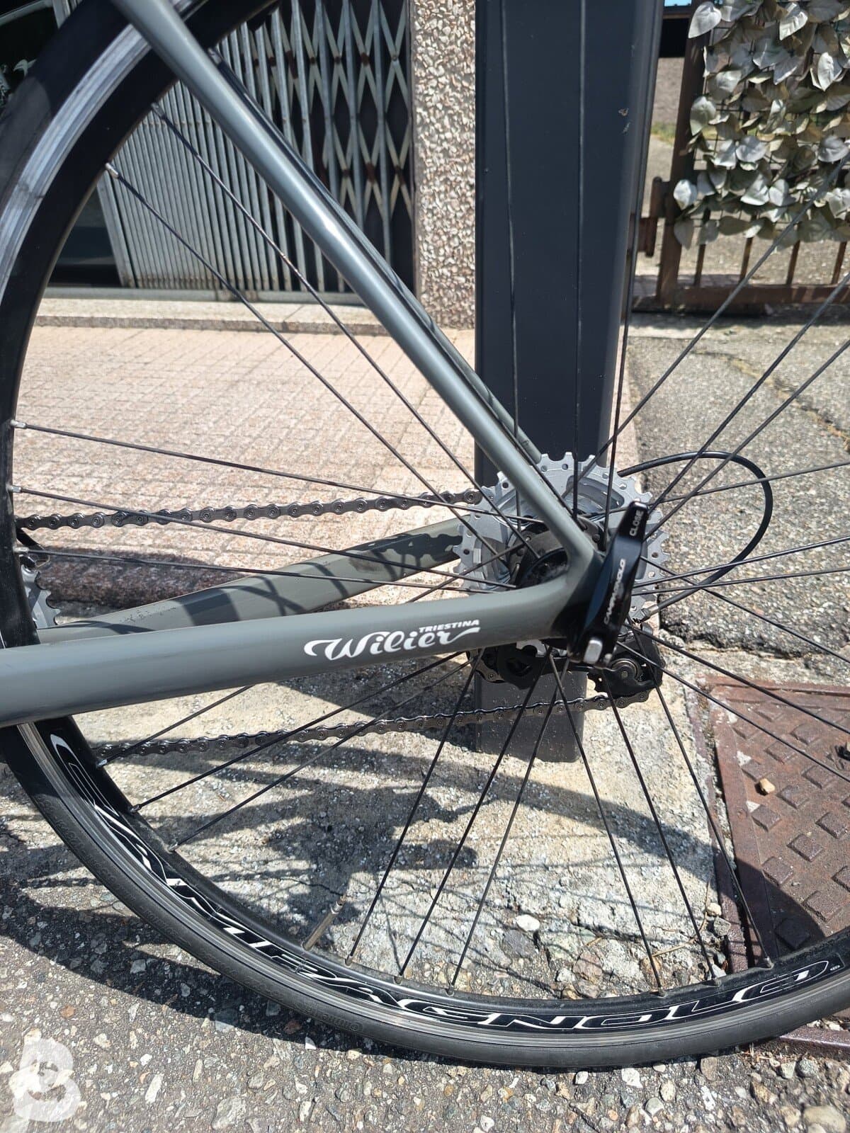 Wilier GTR Team CAMPAGNOLO CENTAUR 2X11 2022