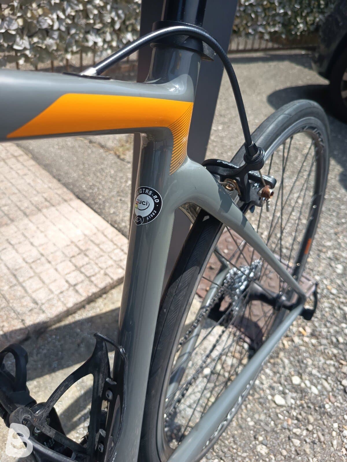 Wilier GTR Team CAMPAGNOLO CENTAUR 2X11 2022