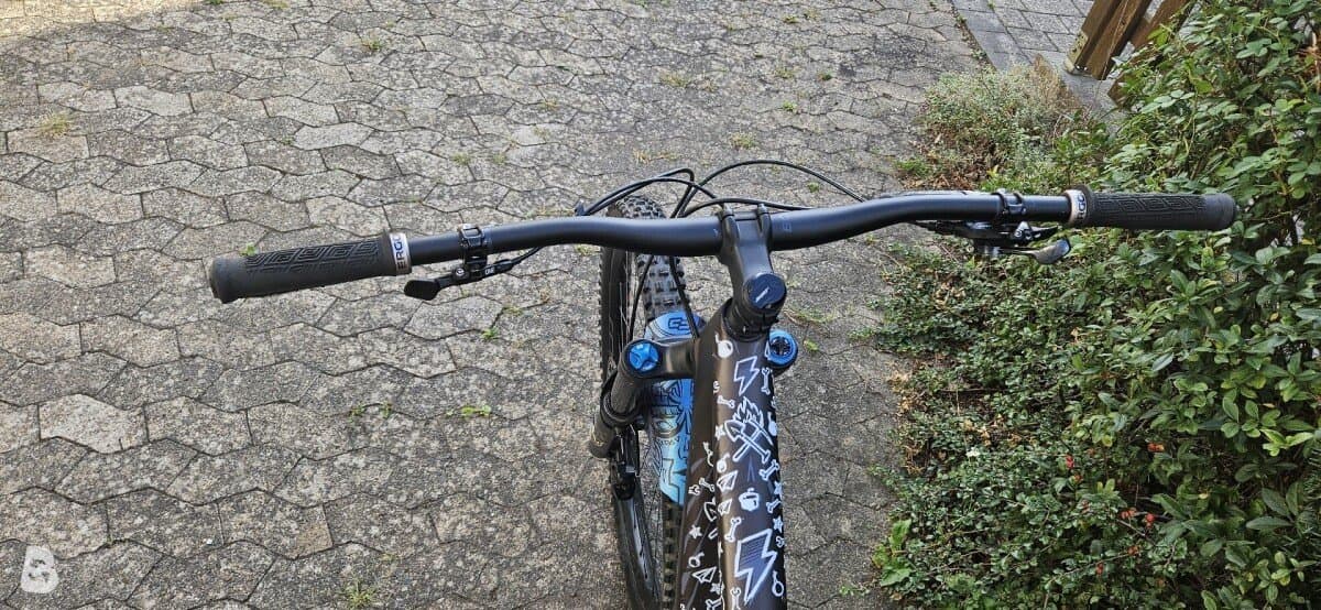 Specialized Enduro Expert 2022