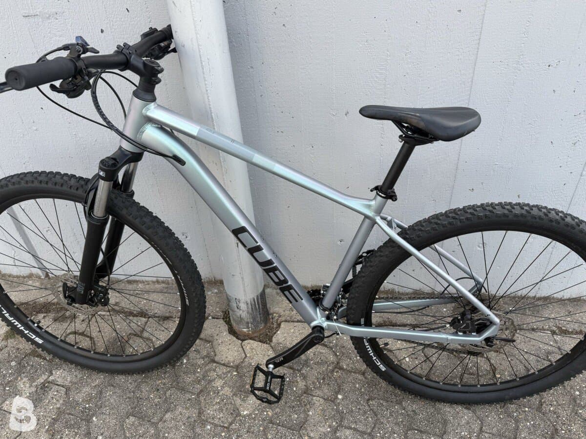 Cube Access WS Pro 2023 2023