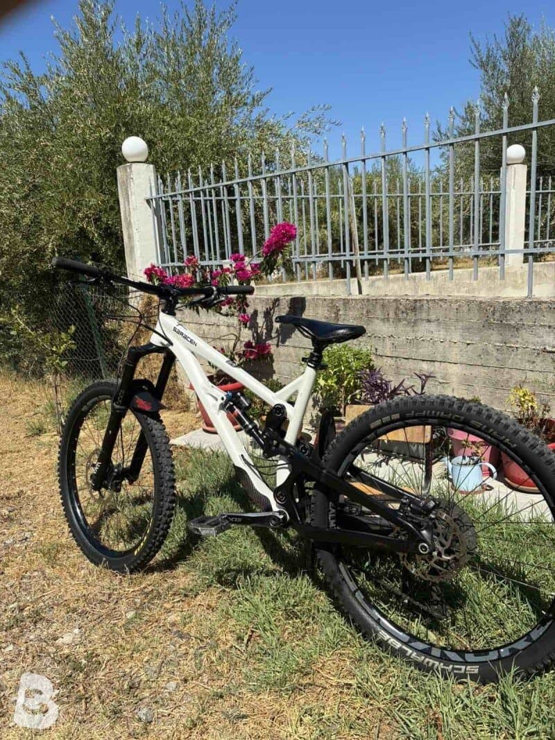 Saracen Ariel Elite 2019