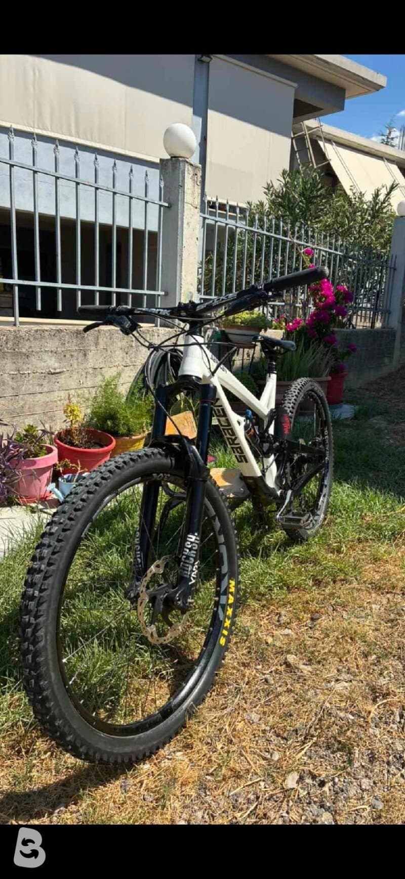 Saracen Ariel Elite 2019