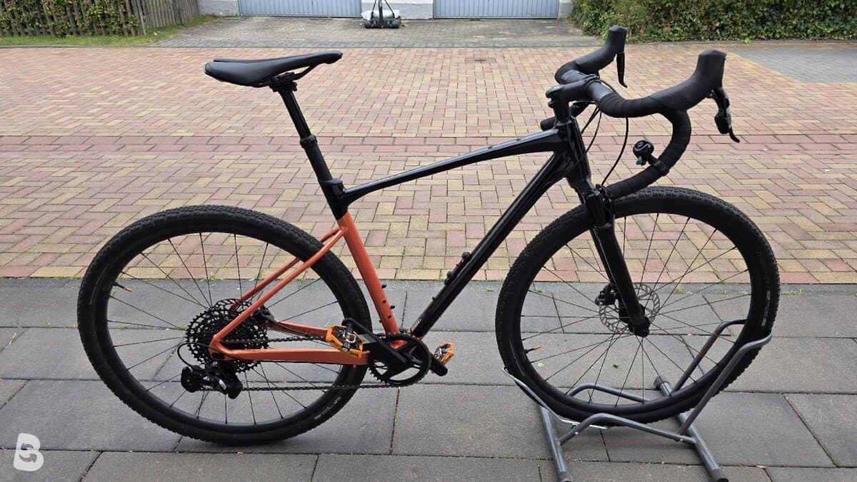 Giant Revolt X 1 2024