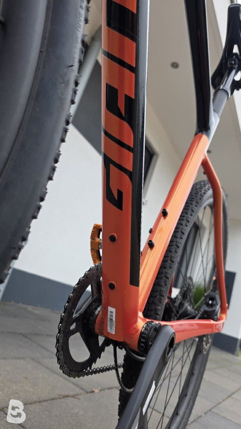 Giant Revolt X 1 2024