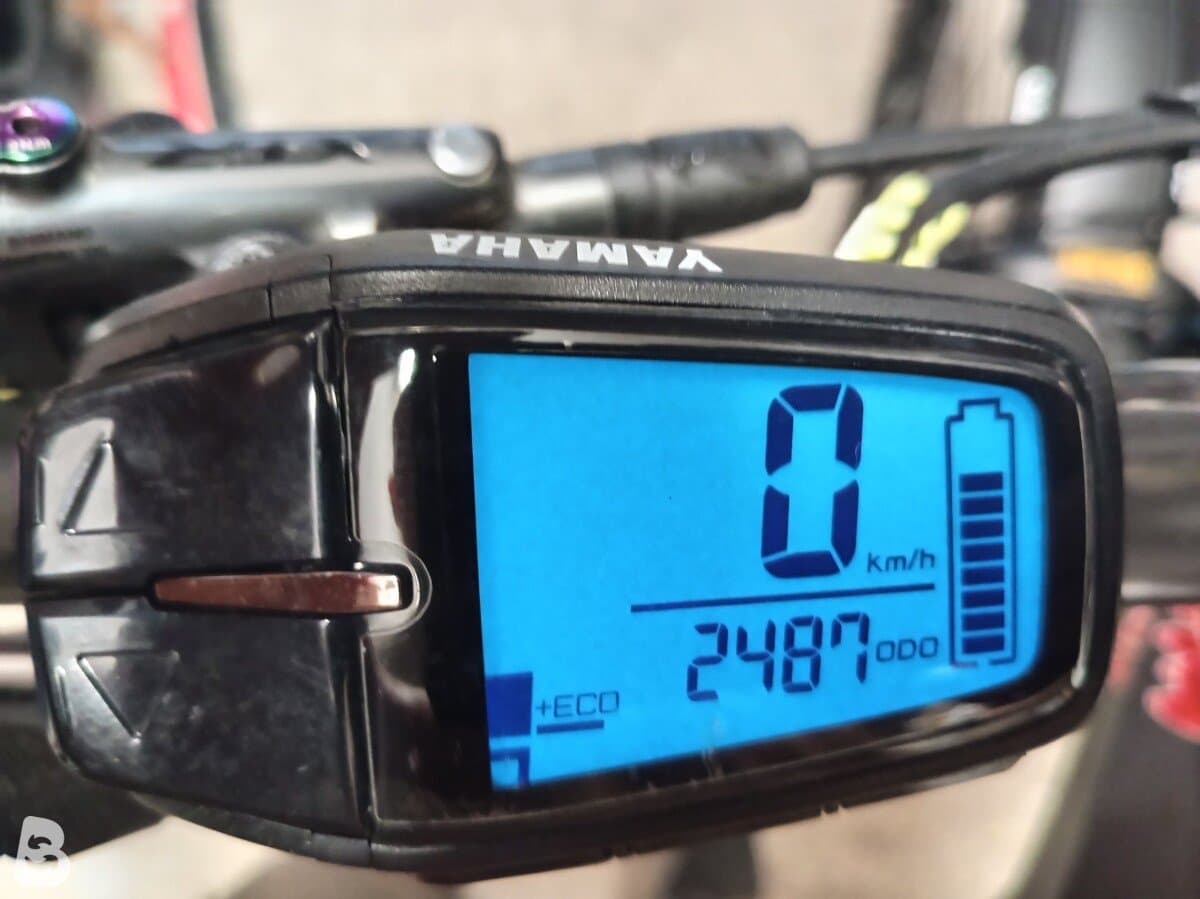 Haibike AllMtn SE 2021