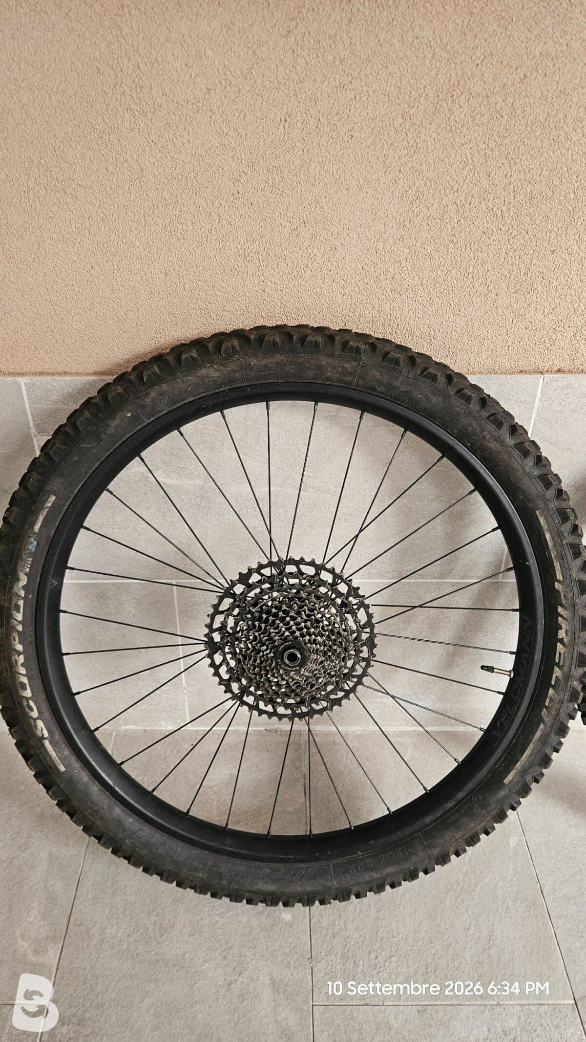 Bianchi e-Omnia FX Type - XT 1x12 2022