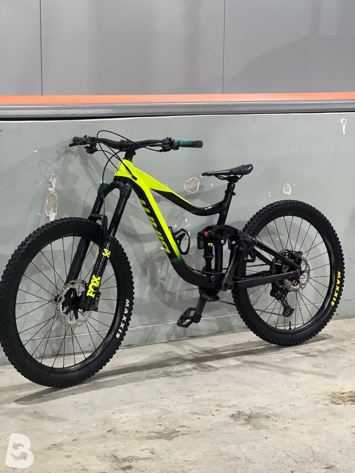 Giant Reign 1 2020