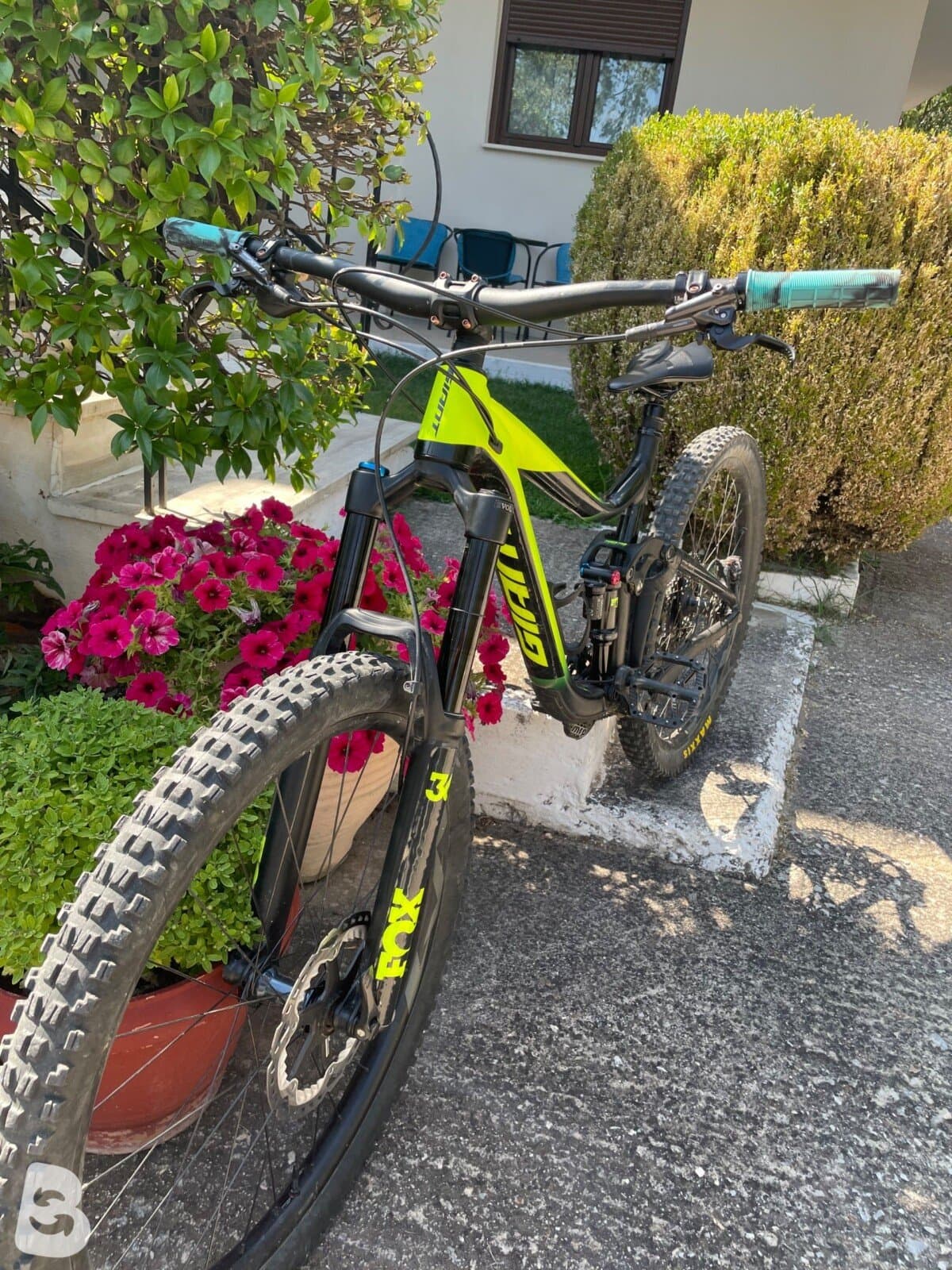 Giant Reign 1 2020