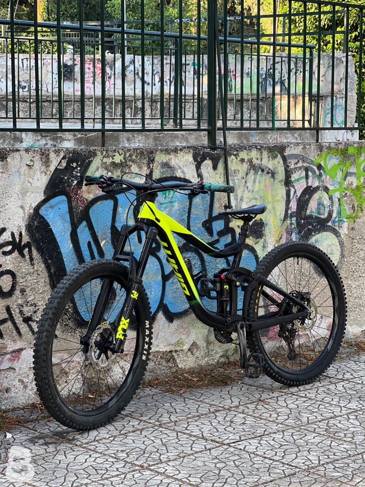 Giant Reign 1 2020