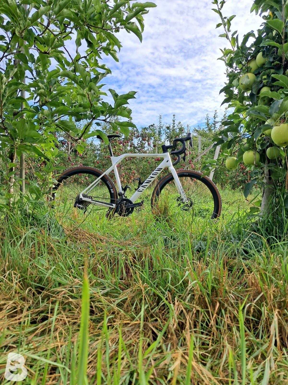 Canyon Inflite CF SLX 8 Di2 2024