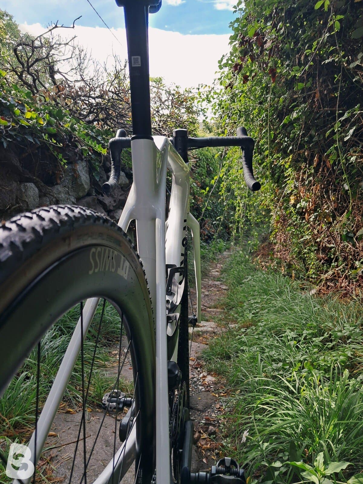 Canyon Inflite CF SLX 8 Di2 2024