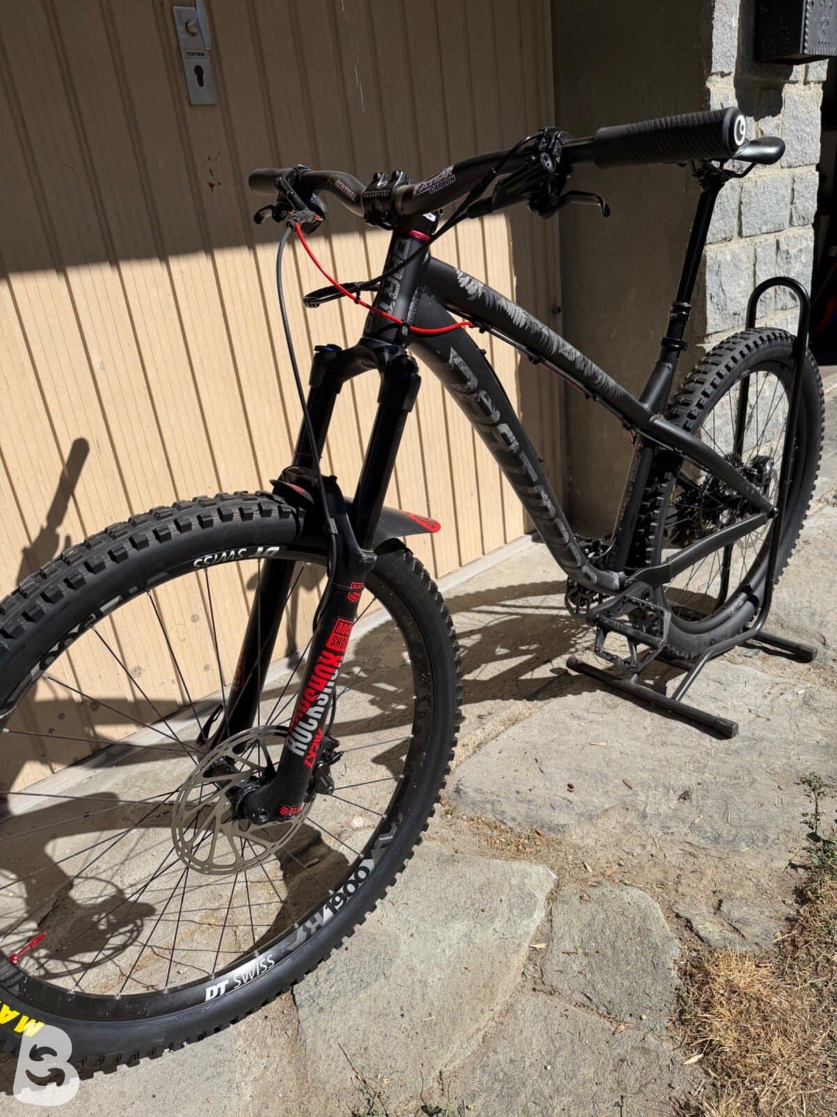 Dartmoor Hornet 2024