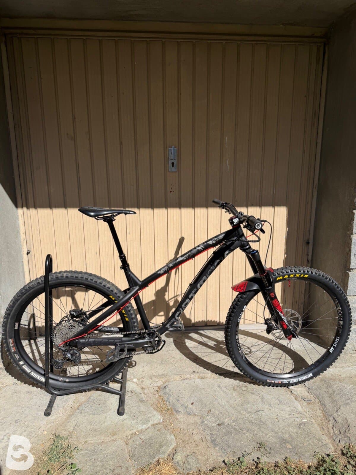 Dartmoor Hornet 2024