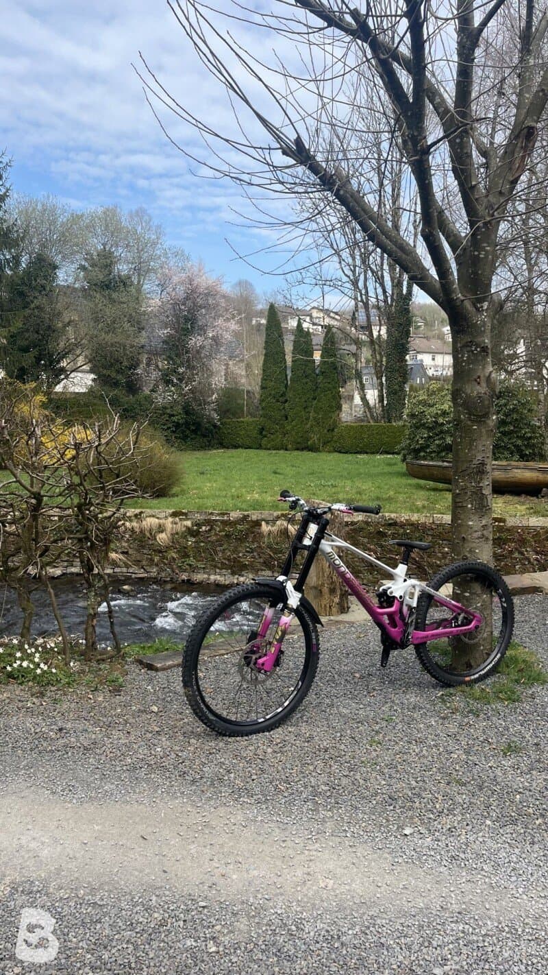 Mondraker SUMMUM CARBON R Mullet 2023