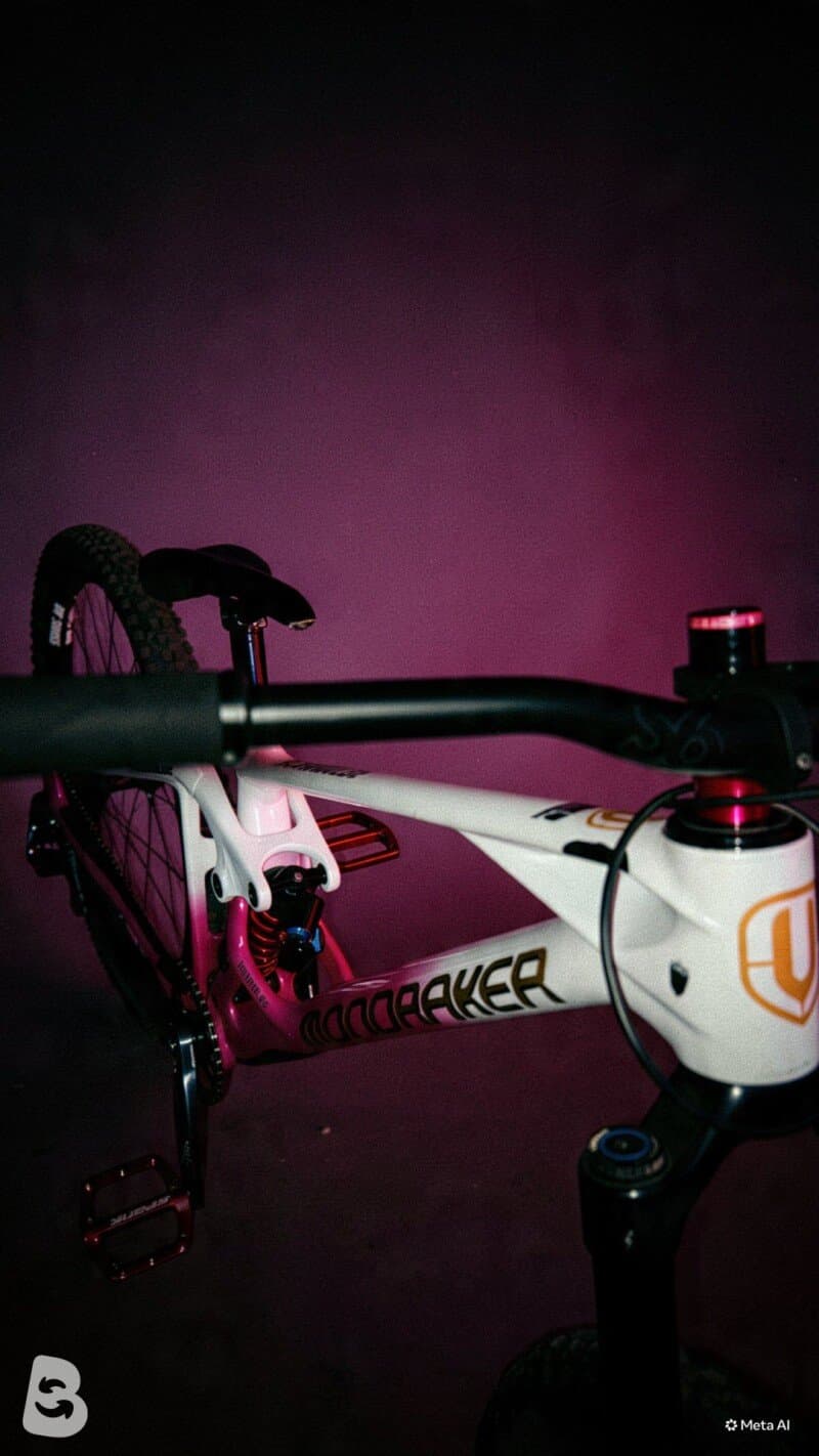 Mondraker SUMMUM CARBON R Mullet 2023