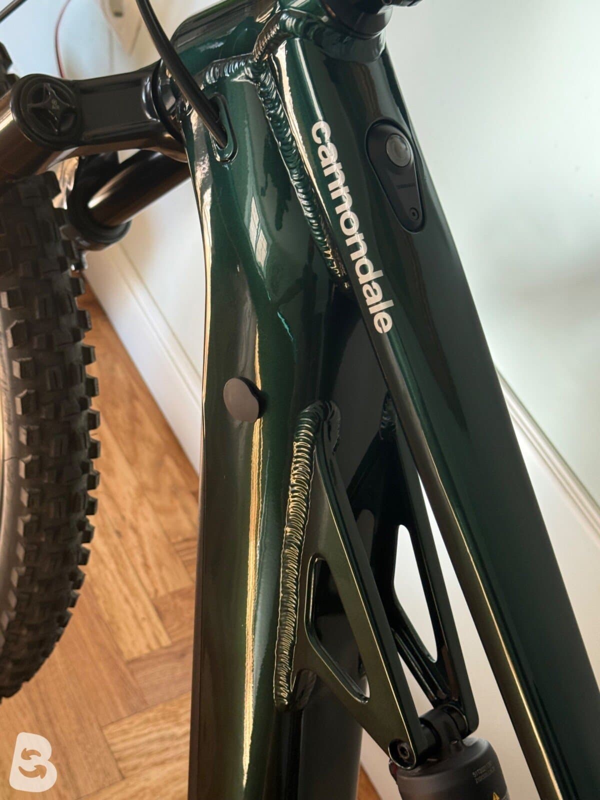 Cannondale Moterra Neo S1 2024