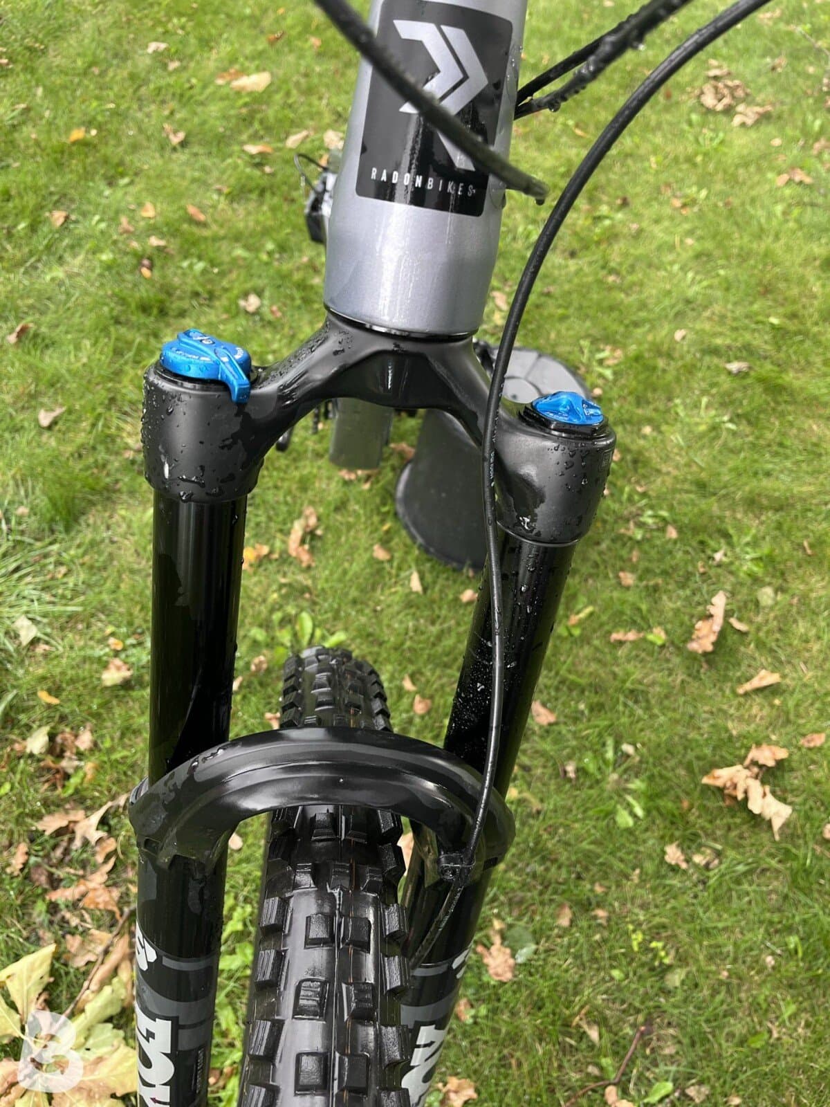 Radon SWOOP AL 8.0 2023