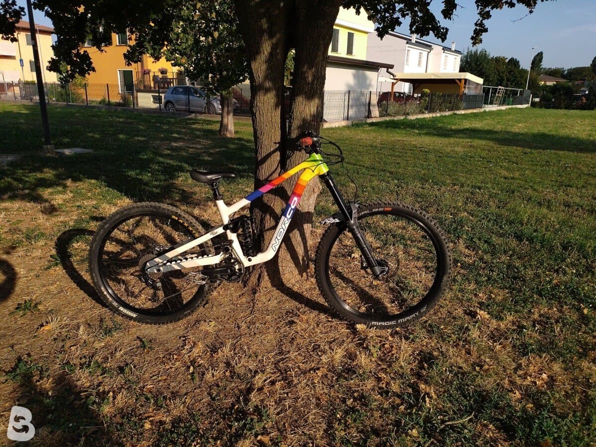 Norco Shore custom 2023