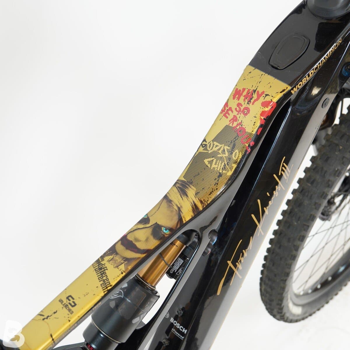 Kneissl Design World Champion Gebrauchtrad 2024