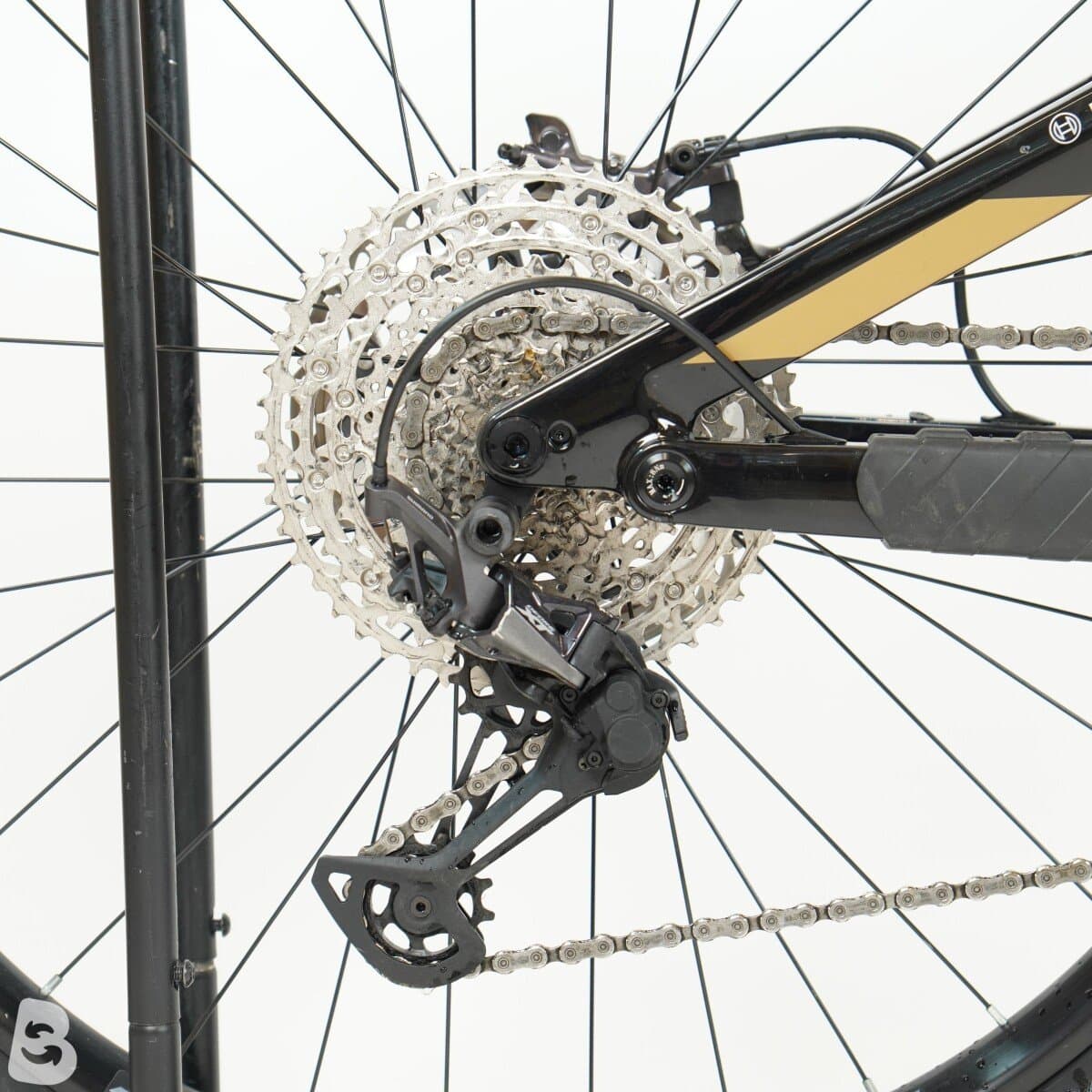 Kneissl Design World Champion Gebrauchtrad 2024