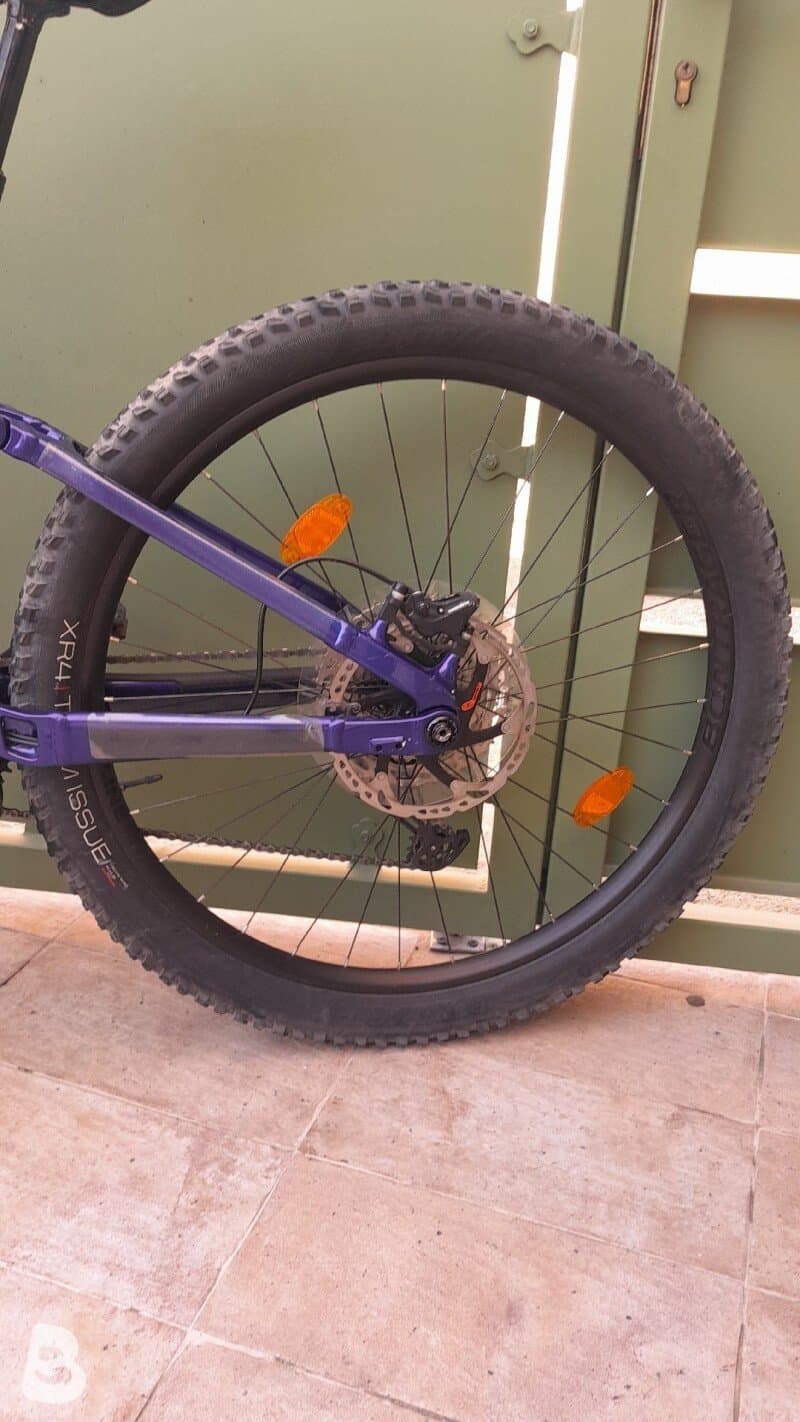 Trek Rail 5 2024 2024