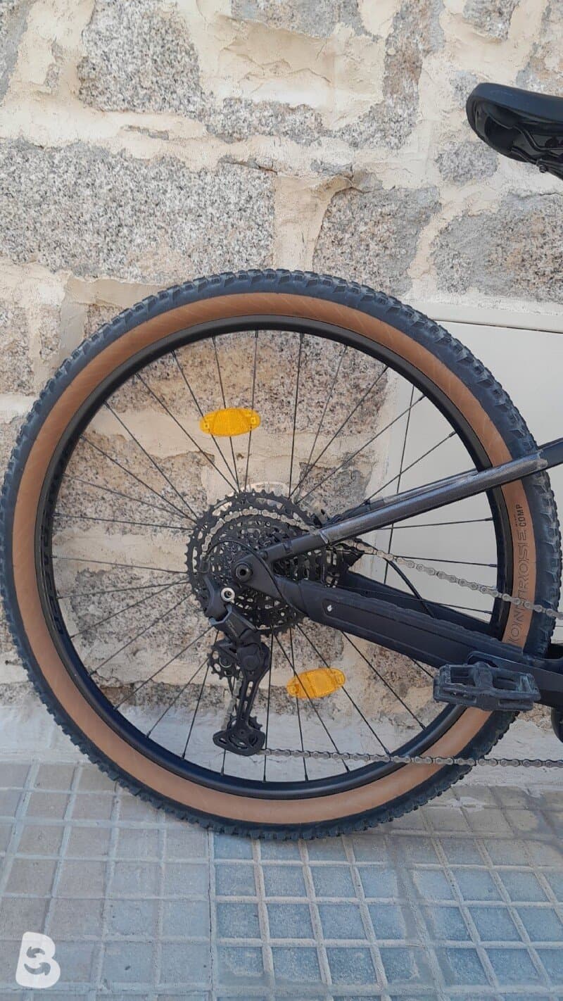 Trek Powerfly 4 gen 5 2025