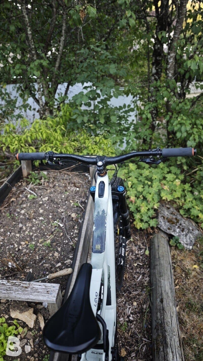 Specialized Turbo Levo Comp Alloy 2021