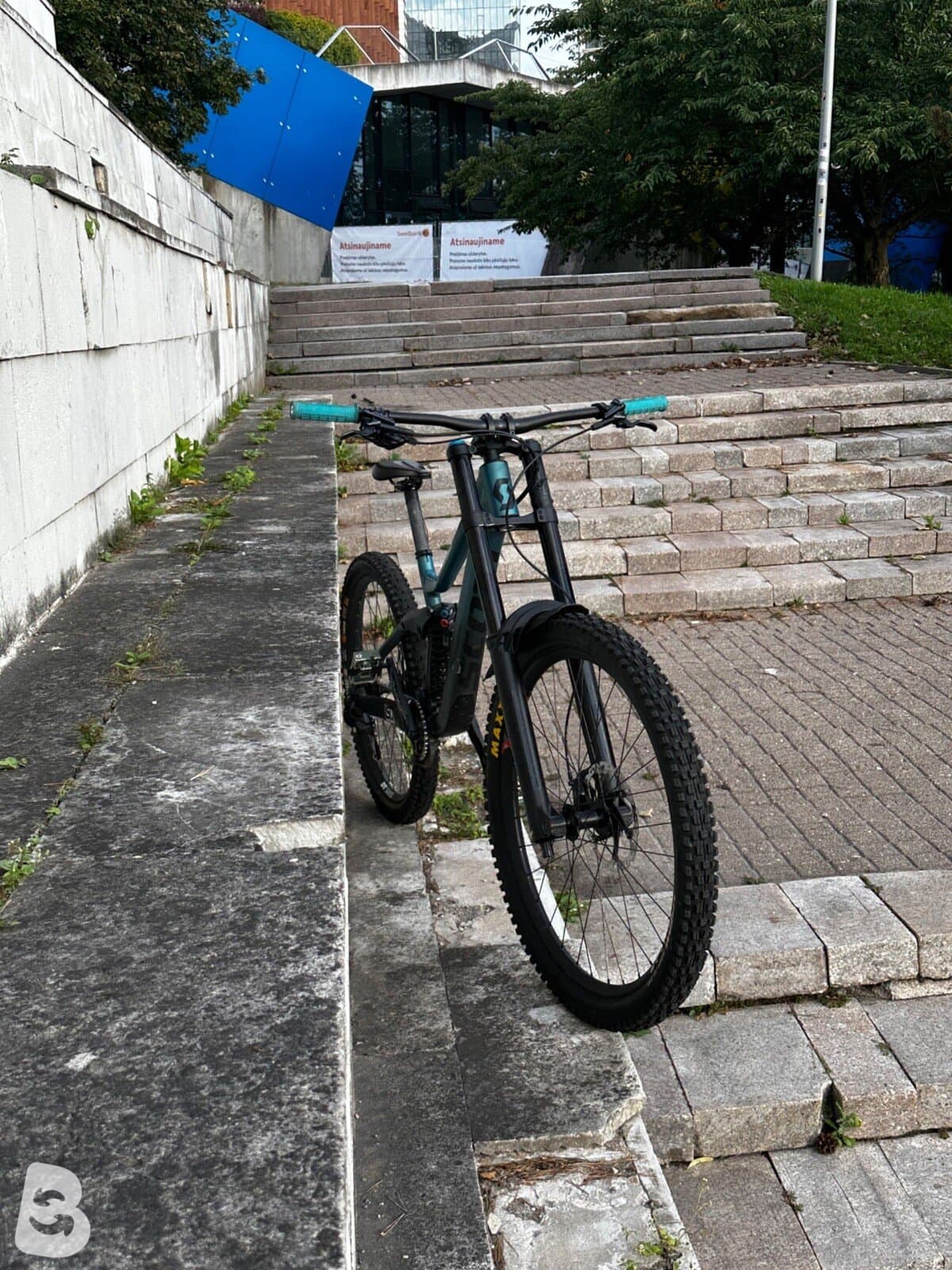 Scott Gambler 910 2023