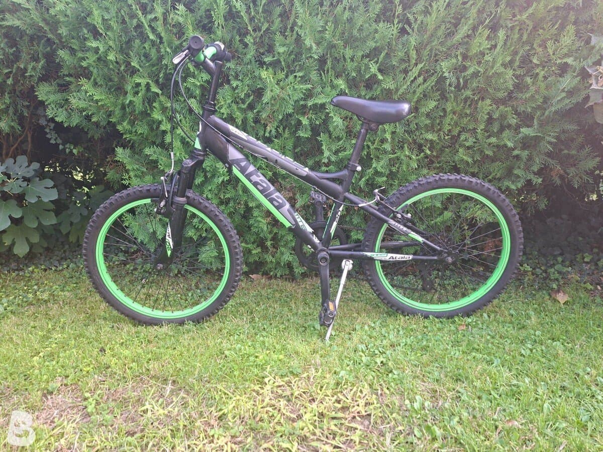 Atala Viper 20 MTE 2019