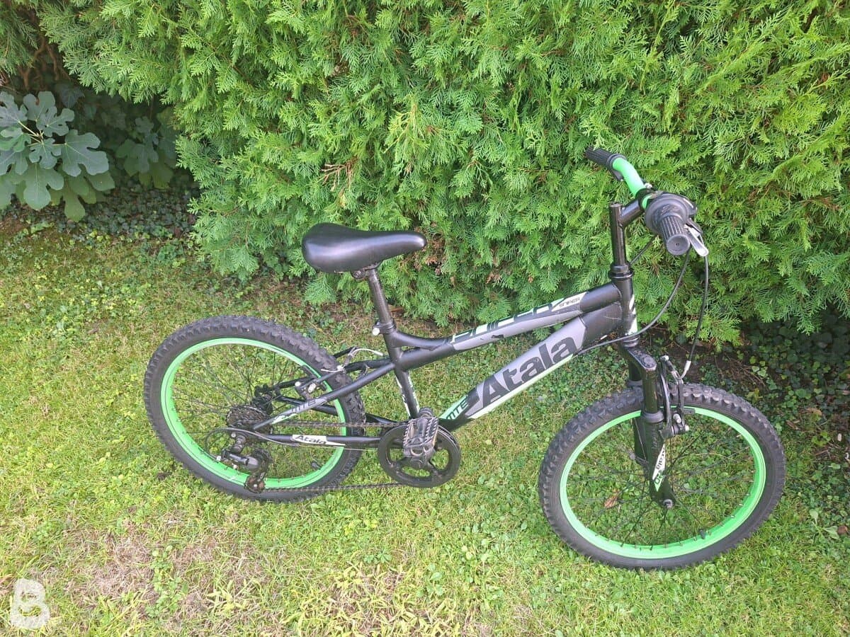 Atala Viper 20 MTE 2019