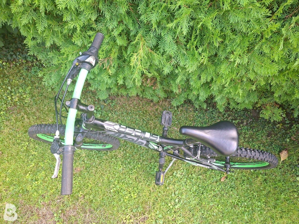 Atala Viper 20 MTE 2019
