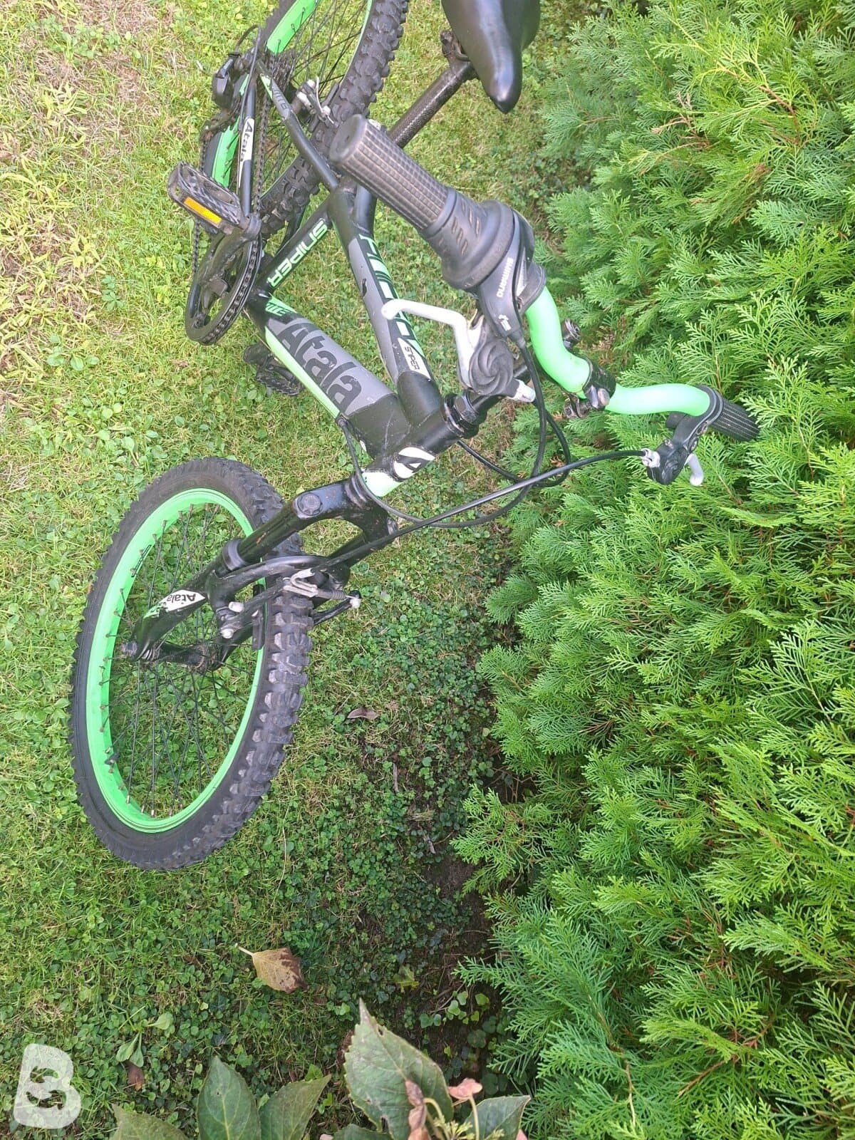 Atala Viper 20 MTE 2019