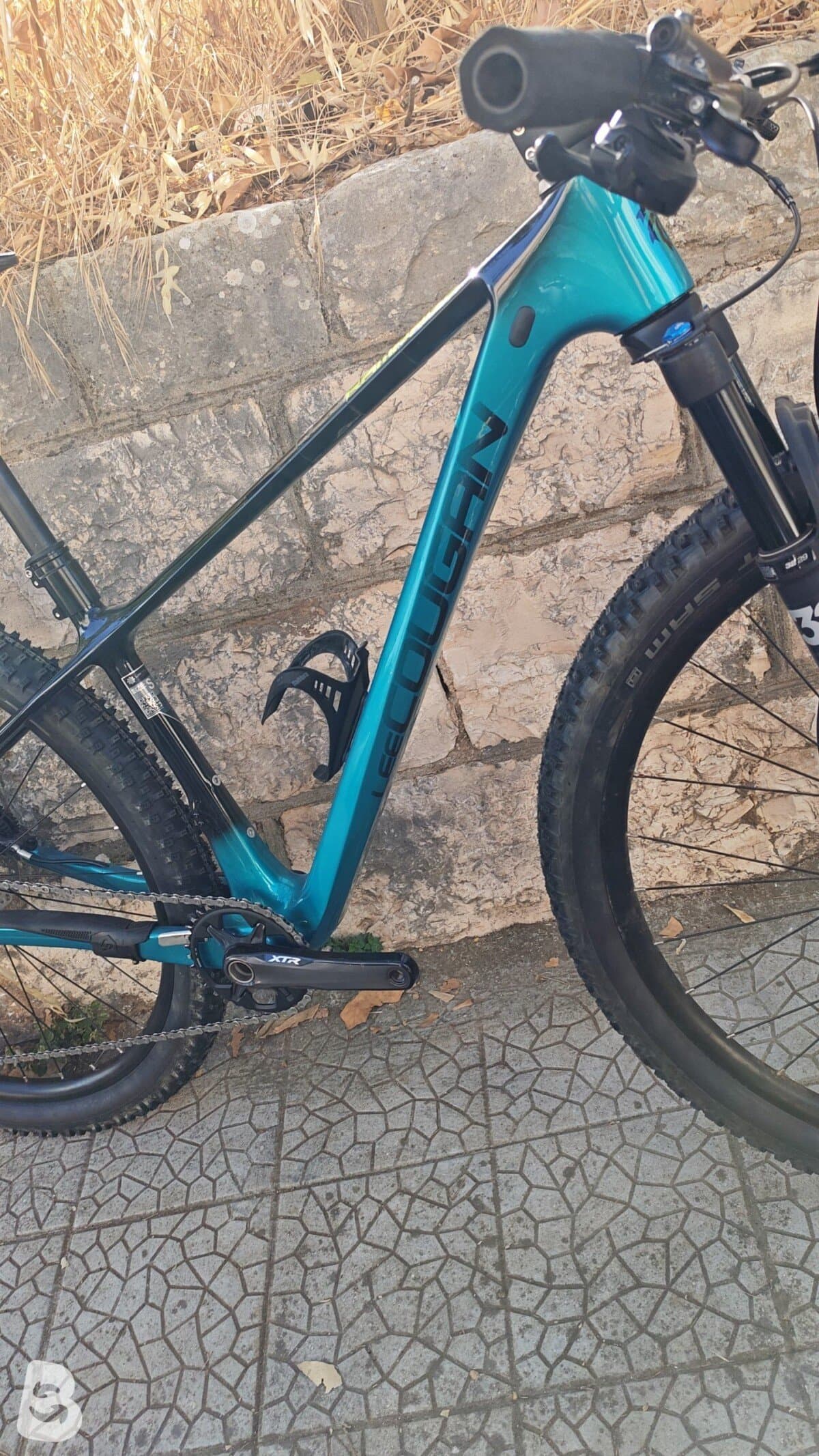 Lee Cougan Rampage 428 2022