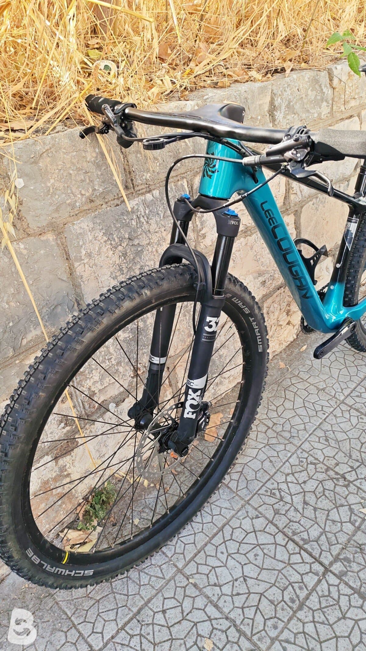 Lee Cougan Rampage 428 2022